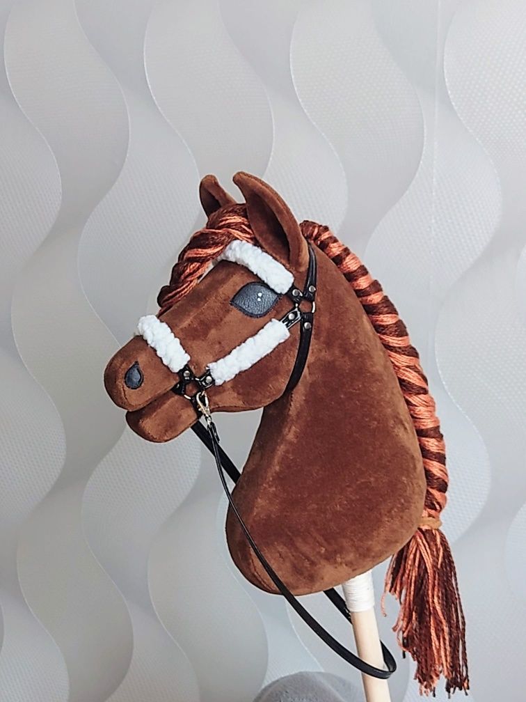 Hobby horse konik