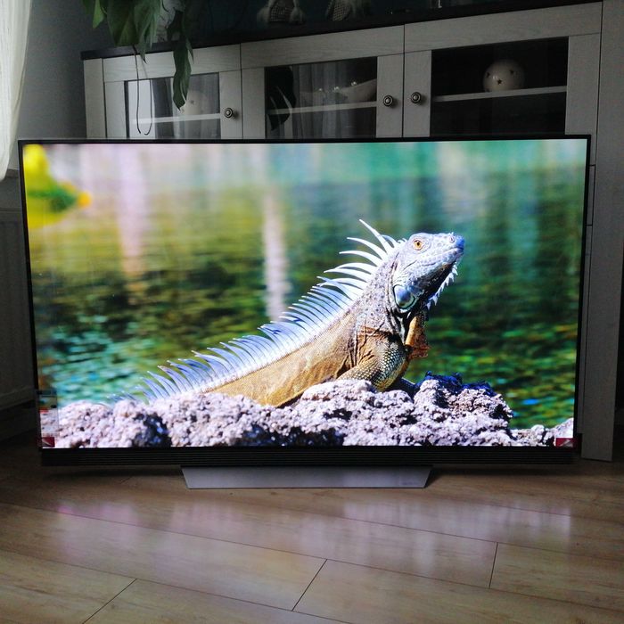LG OLED 65E7V czytaj opis