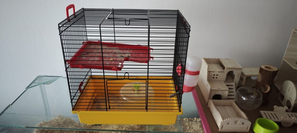 Akwarium dla chomika