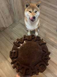 Tortownica foremka tort tortu urodziny 20cm
