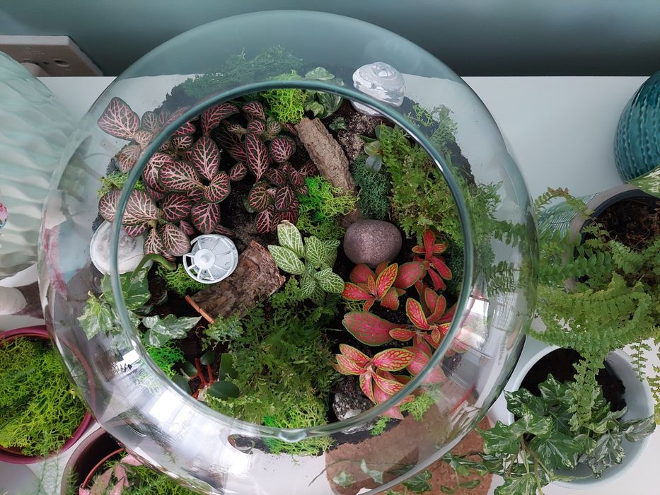 Szklana kula las w szkle Kraków duża