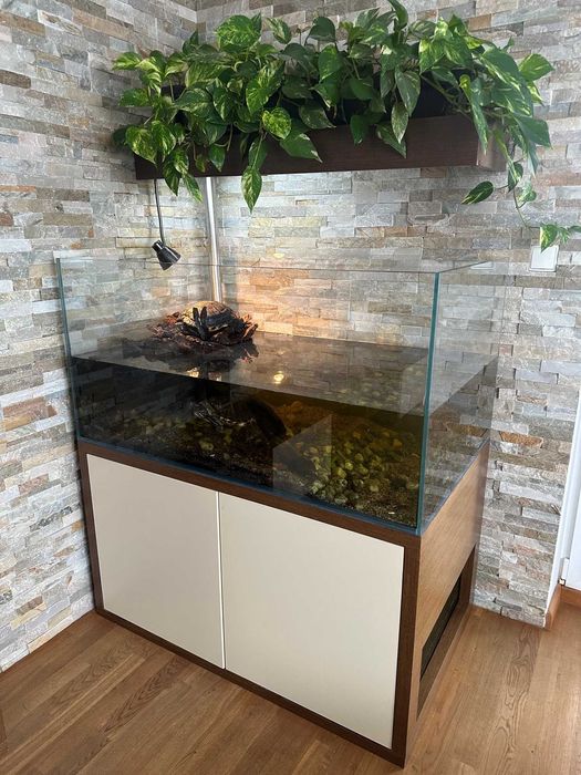 Akwarium dla żółwi wodno-lądowych z wyposażeniem