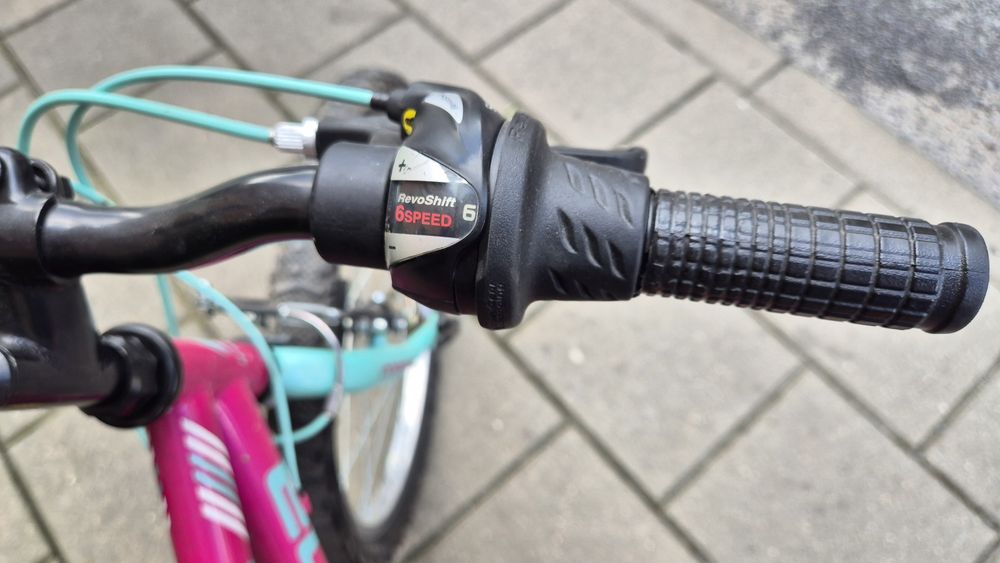 Rower młodzieżowy Mili Indiana 20 cale