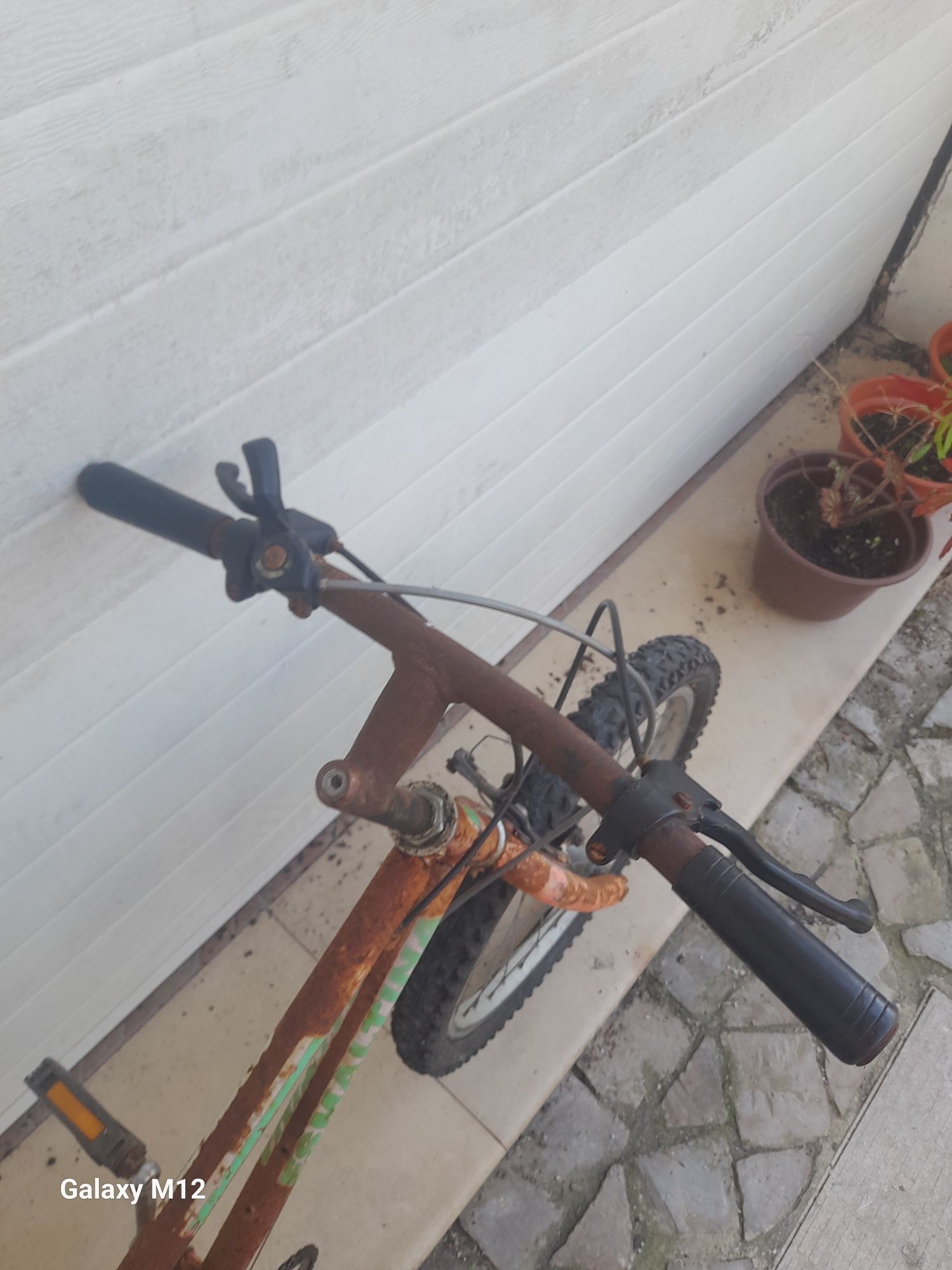Bicicleta antiga