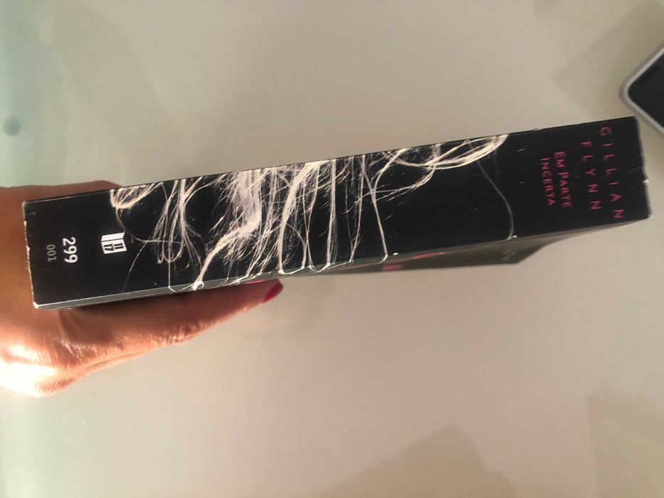 Em parte Incerta | Gillian Flyinn