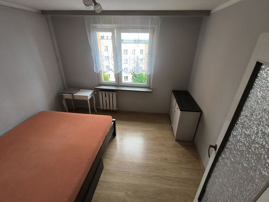 Mieszkanie do wynajęcia