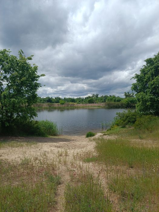 Земельна ділянка у СТ "Мрія", р.Сомівка, Петріківський р-н!