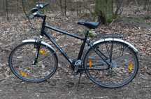 Rower męski - Wheeler Trekking Light 2700,