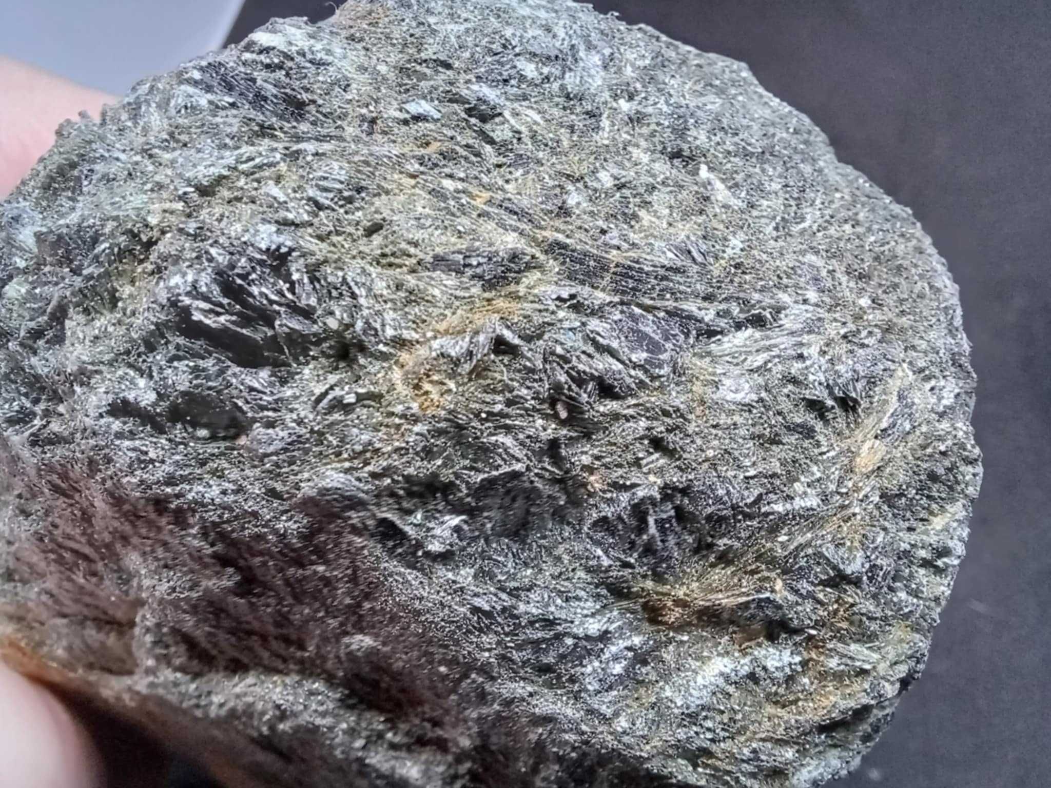 Magnetyt w amfibolicie. Ural. Rosja.