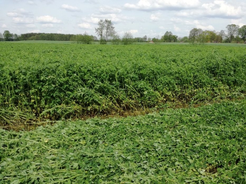 Lucerna DSV PLANET 2060