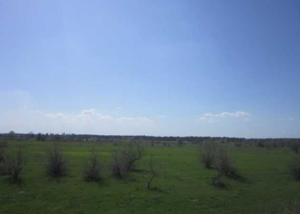 Участок, Днепропетровская обл., с. Баловка, участок 4 Га, Собственник