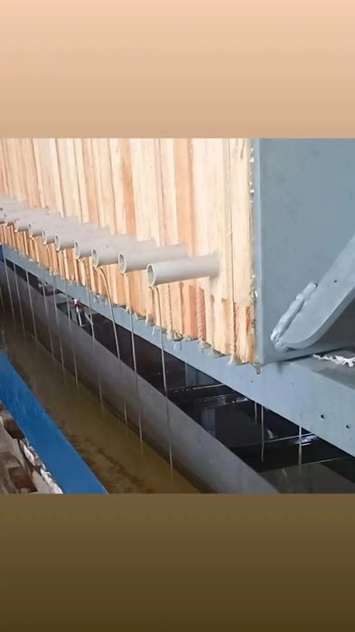 Макуха соняшникова!!!