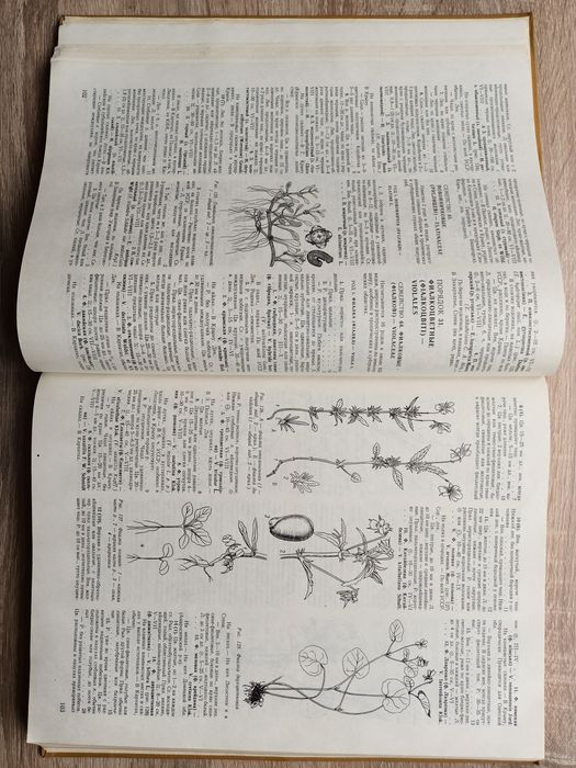 Определить высших растений Украины