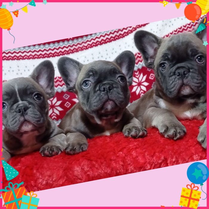 Подарують вам радість