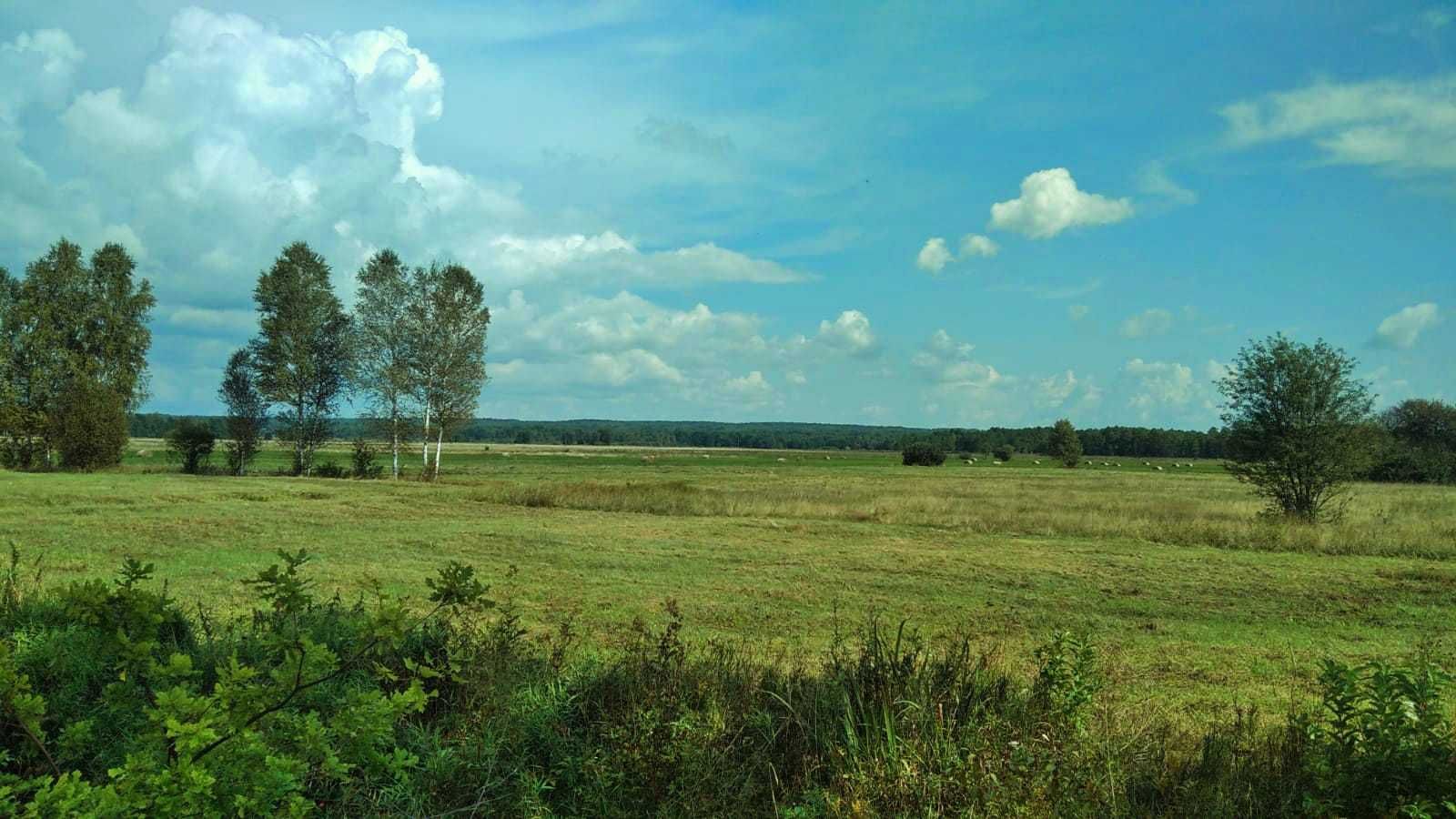 Działka rolno-budowlana 6700 m