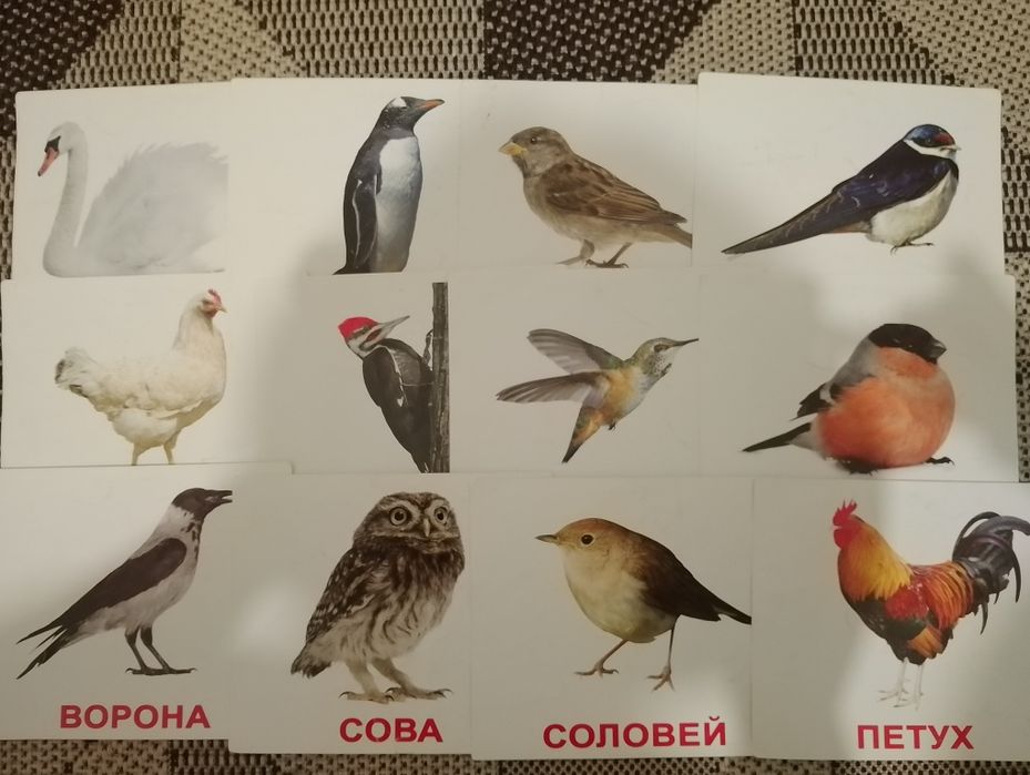 Картки Домана для малечі