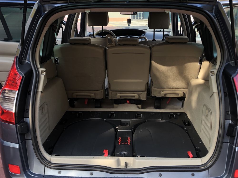 Renault Grand Scenic 2, 2008 рік, 2.0 дизель, автомат