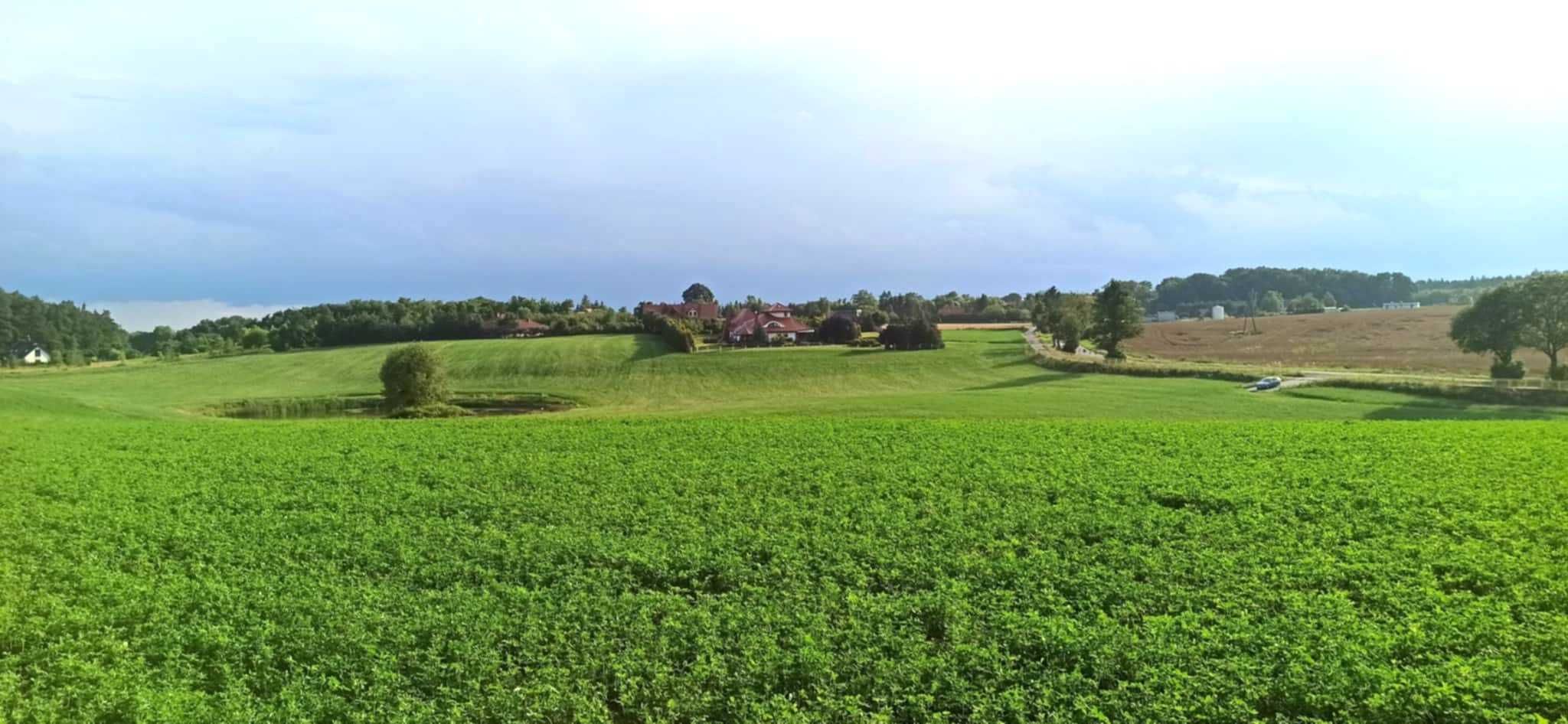 Działka w Zamku Bierzgłowskim 1,46 ha
