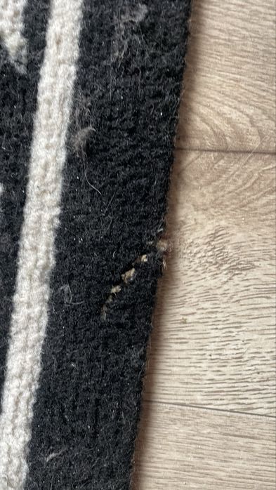 Dywan zebra 115x160 safari motyw zwierzęcy