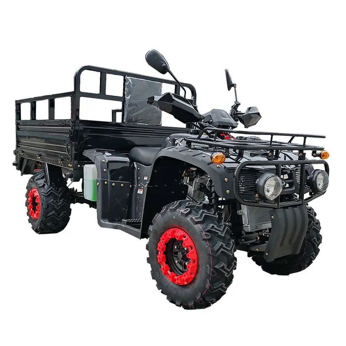 Акція Чорна пятниця !!! Квадроцикл FORTE ATV-250BS-T