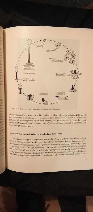Biologia molekularna genu - James Watson