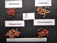 Арахіс насіння 7 сортів горіх арахис семена для вирощування в Україні