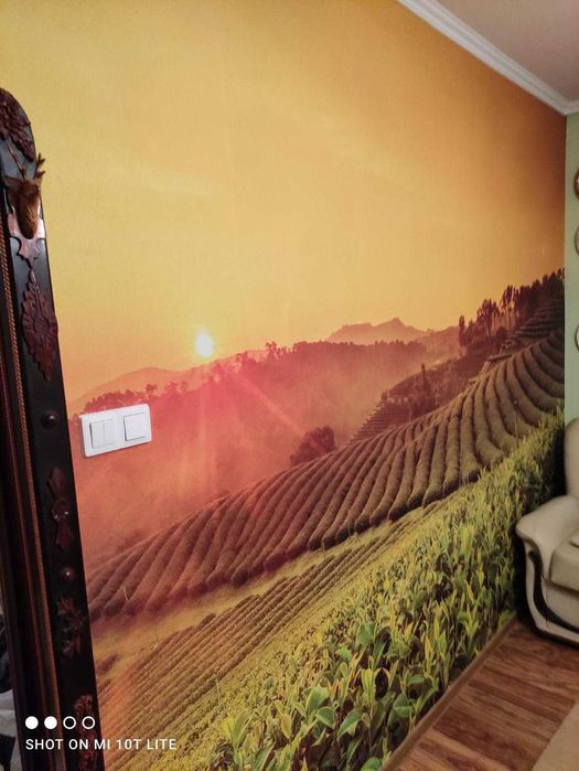 Malarz Tapeciarz - Malowanie, tapetowanie, panele podłogowe.