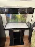 Aquario 60x30 com movel