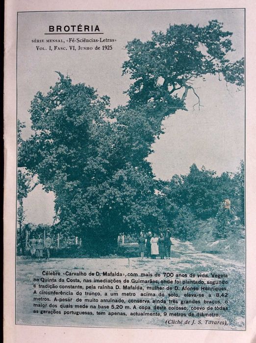 Brotéria. Fé - sciencias - letras Vol. I, Fasc. VI . Junho de 1925