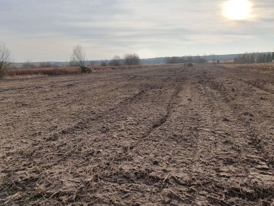 Mulczer leśny względny. Czyszczenie zarośli. Rekultywacja do 40cm