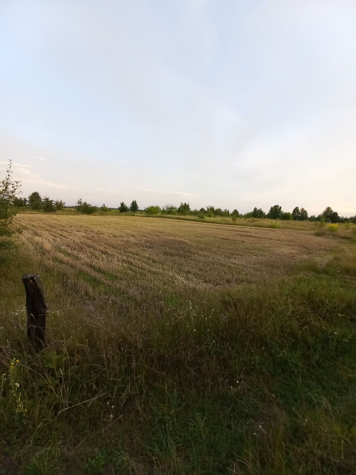 Земельна ділянка під будівництво, Брусилів,