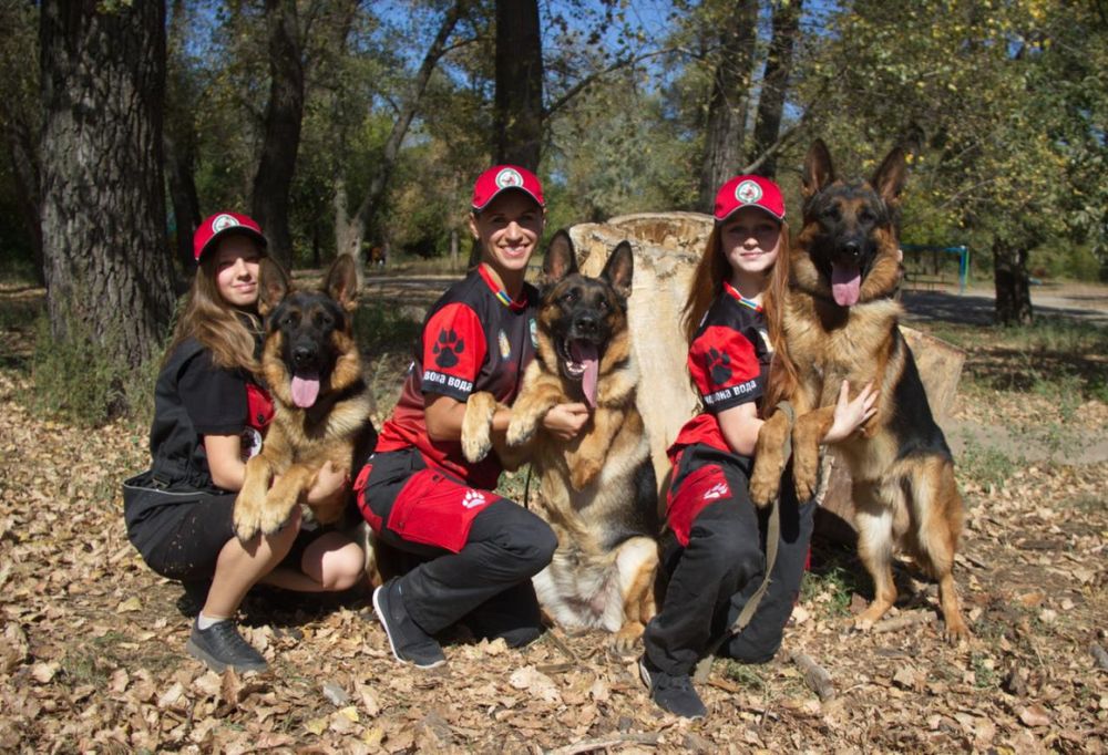 Дресирування собак в Запоріжжі