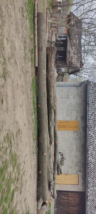 Drewno na deski meble schody akacja wiśnia orzech świerk jesion lipa