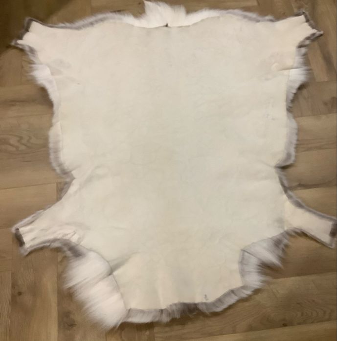 Skóra Renifera z LAPONii roz. XXL