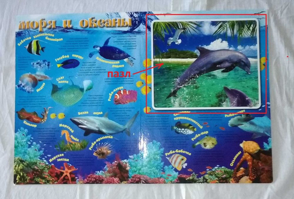 Большая книга-пазл. Красочная и яркая. Все элементы в наличии