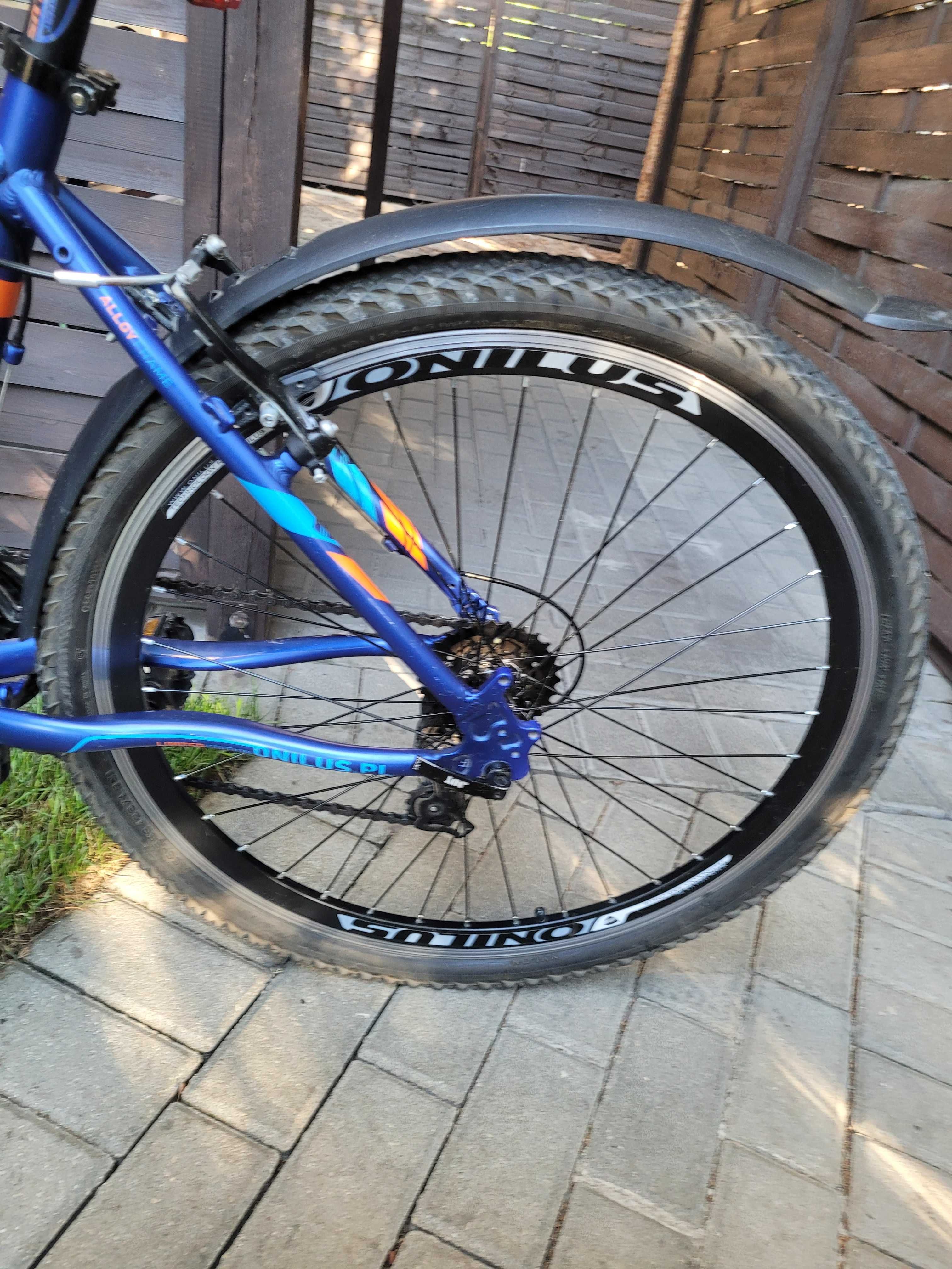 Rower Onilus Muranus 1.0