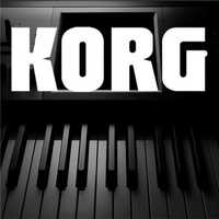 MEGA STYLE KORG PA /50/60/80/500/600/800/1000/PA1x disco polo POLECAM!