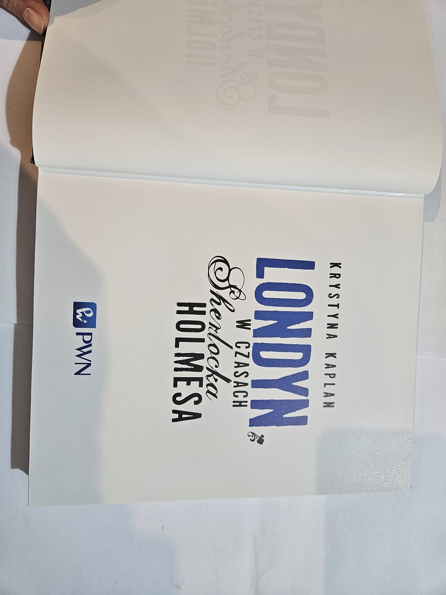 Londyn w czasach Sherlocka Holmesa Książka