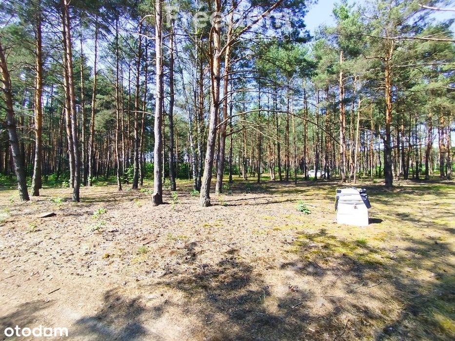 Ostatnia działka rekreacyjna w Białej Górze