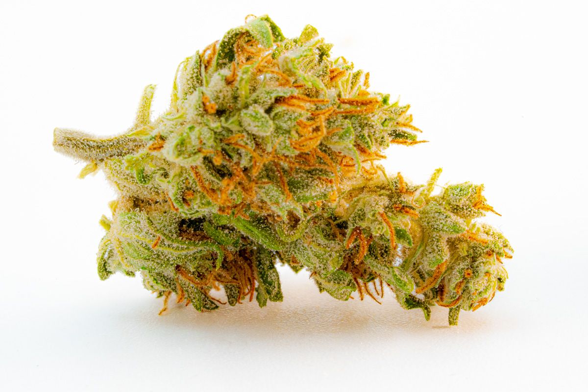 Lemon Haze susz konopny CBD (100g-10000g) 1000g