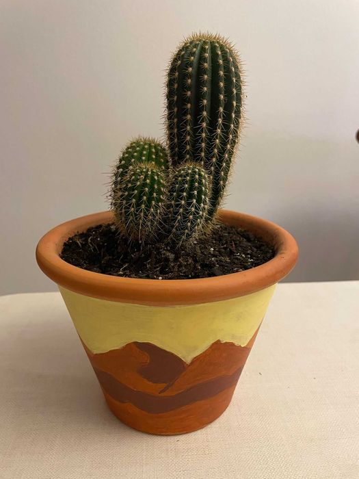 Vaso personalizado