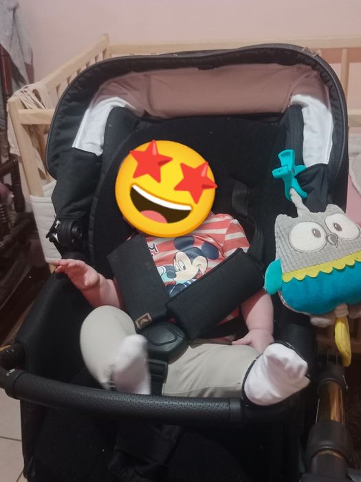 Wózek Adamex Reggio 2w1