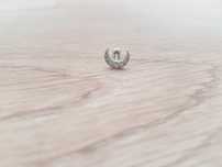 Piercing de orelha em aço cirúrgico novos