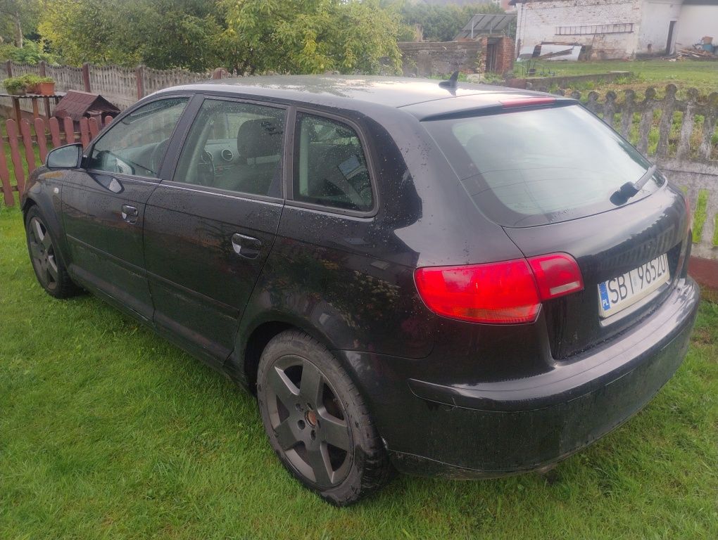 Audi a3 8P 1.9 TDi