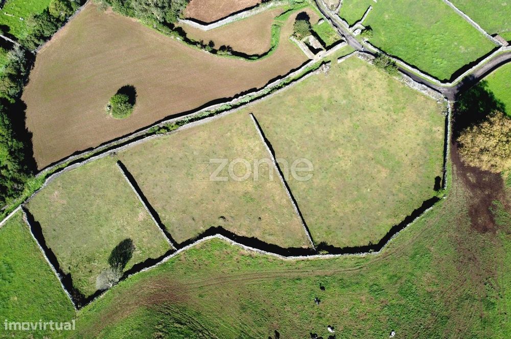 Terreno Rústico - Canada do Pico do Alho, concelho da Ribeira Grande