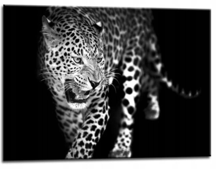 Obraz Lampart szkło 100 cm x 70 cm