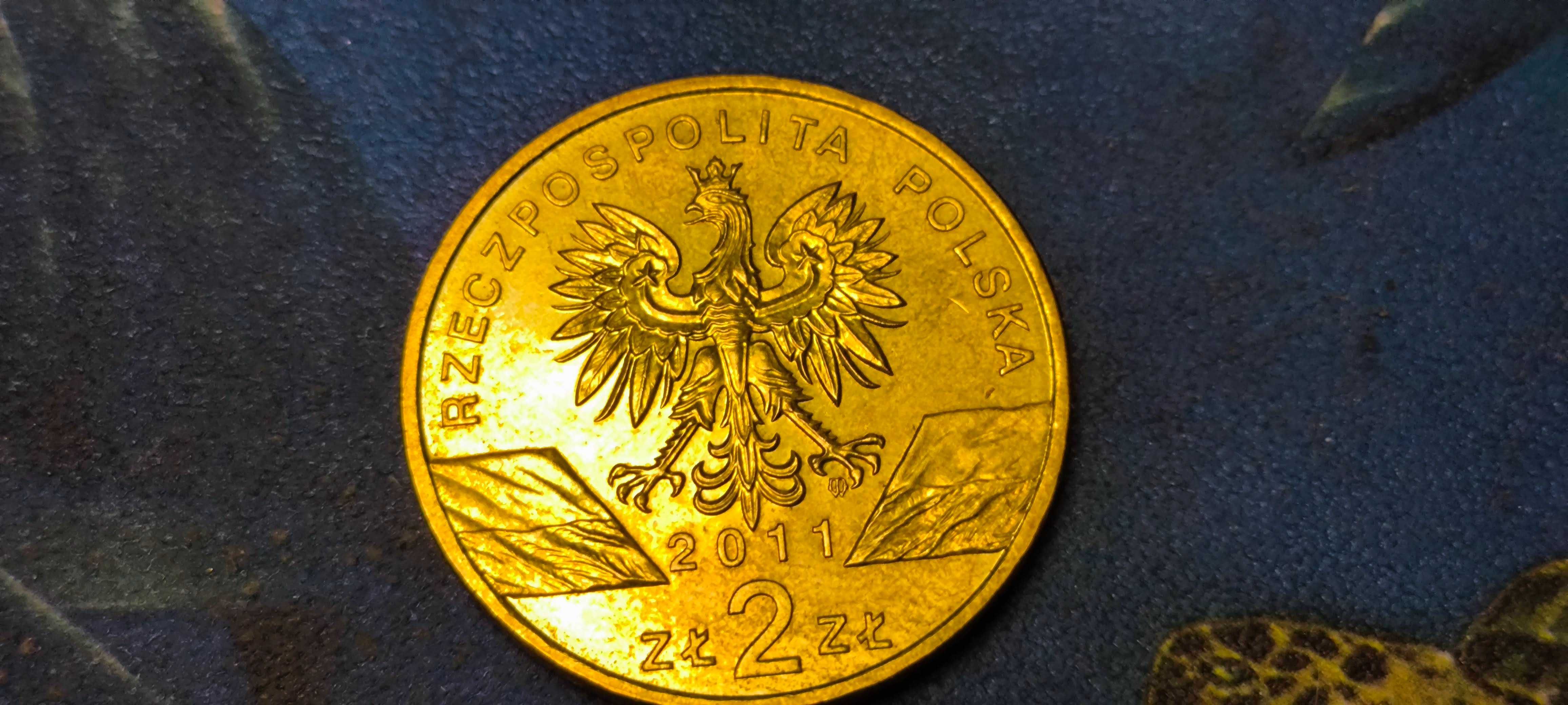 Moneta 2 zł - Borsuk - 2011 rok