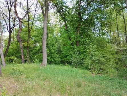 Ділянка під забудову в Лісі