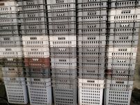 Caixas de plástico