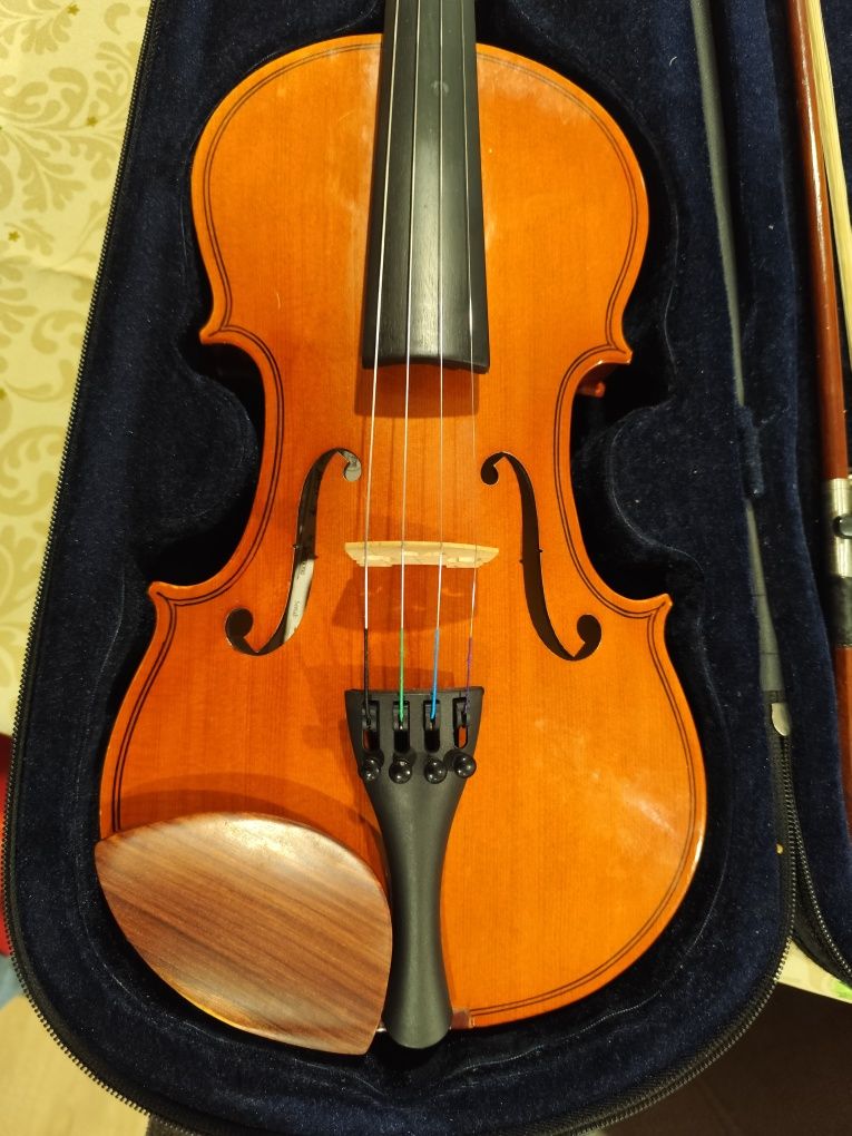 Violino 3/4 completo.
